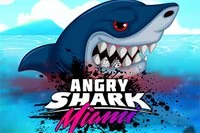 Bucură-te de o versiune uimitoare a legendarului Angry Shark Miami!