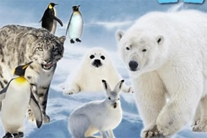 Un urs polar, un leopard zăpezilor, pinguini, o focă pui și un iepure sălbatic stau pe un fond înghețat