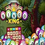 Bile colorate cu numere și cuvântul BINGO dispuse într-un fundal de junglă cu un tabel de bingo vizibil