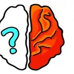 Imaginea prezintă o ilustrație stilizată a unui creier împărțit în două, partea stângă albă cu un semn de întrebare albastru și partea dreaptă colorată în roșu și portocaliu cu linii ondulate