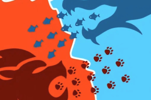 Ilustrație cu o față de leu și urme de labe pe fundal roșu, confruntându-se cu siluete de pești și o mână pe fundal albastru