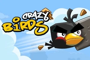 Pasăre neagră zburând rapid pe un fundal de cer albastru cu nori, alături de text stilizat Crazy Birds