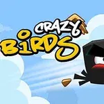Pasăre neagră zburând rapid pe un fundal de cer albastru cu nori, alături de text stilizat Crazy Birds