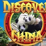 Doi urși panda mâncând bambus, înconjurați de elemente arhitecturale tradiționale chinezești și vegetație, cu textul Discover China deasupra