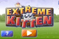 Ajută pisicuța drăgălașă din jocul de acțiune Extreme Kitten să sară