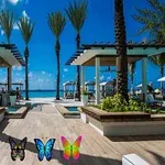 Plajă tropicală cu palmieri, foișoare moderne și fluturi colorați în prim-plan