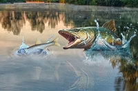 În Fish Rain, prinde cei mai mari pești!