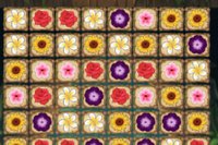 Rezolvă puzzle-uri, adună flori și deblochează nivele!