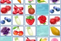 Ajută-ne în Fruit Connect!