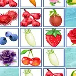 Plăci cu imagini de fructe și flori colorate aranjate într-un model tip puzzle pe un fundal albastru