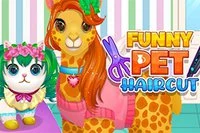 Animalele tale au nevoie de un nou look