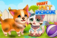 Un joc amuzant cu animale de companie