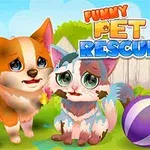 Doi animale de companie adorabile și murdare, un câine și o pisică, stau într-o curte, lângă un gard alb, cu o minge colorată în prim-plan