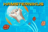 Ajută hamsterul să ajungă la final
