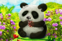 Îngrijește un urs panda super drăgălaș în acest joc adorabil de makeover