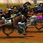 Curse de cai cu trap, cu mai mulți cai și jockey la linia de start pe o pistă de curse