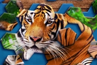 Hexa Jigsaw Puzzle este un joc hexa puzzle inovativ și distractiv