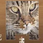 Puzzle incomplet cu imaginea unui pisoi pe un fundal de lemn