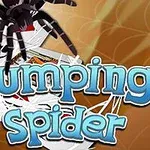 Un păianjen negru deasupra unui teanc de cărți de joc, cu textul Jumping Spider în față