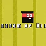 Un personaj stilizat de ninja cu un fundal galben și textul Kingdom of Ninja 2
