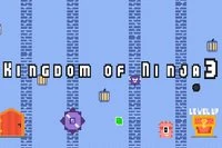 Salut din seria 3 a jocului Kingdom of Ninja