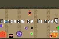 Kingdom Of Ninja 4 este al patrulea capitol din seria Kingdom of Ninja