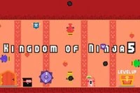 Kingdom Of Ninja 5 este al cincilea capitol din seria Kingdom of Ninja