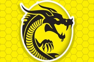 Siluetă neagră a unui dragon stilizat pe un fundal galben cu model hexagonal