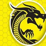 Siluetă neagră a unui dragon stilizat pe un fundal galben cu model hexagonal