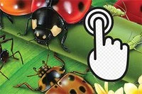 Testează-ți agilitatea!