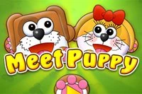 În Meet Puppy, un cuplu de căței s-a separat și nu știa ce să facă