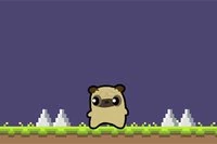Aventura Pug Love începe azi!