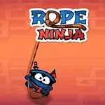 Un personaj ninja albastru ținându-se de o frânghie pe un fundal portocaliu, cu titlul Rope Ninja deasupra