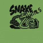 Ecran verde cu logo pixelat reprezentând un șarpe și textul SNΛKE HTML5