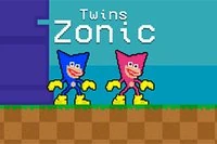 Super aventura celor doi eroi Zonic