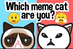 Două desene animate cu fețe de pisici, una cu o expresie tristă și alta cu o expresie supărată, pe fundaluri colorate diferit, albastru și roșu, cu textul „Which meme cat are you?