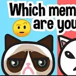 Două desene animate cu fețe de pisici, una cu o expresie tristă și alta cu o expresie supărată, pe fundaluri colorate diferit, albastru și roșu, cu textul „Which meme cat are you?