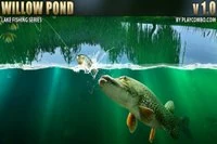Willow Pond, un simulator de pescuit colorat