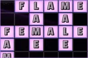 Cuvinte plasate într-o grilă roz și neagră cu litere mari: FLAME, FEMALE