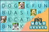 Căutare de Cuvinte cu Imagini, puzzle pentru experții în cuvinte!