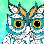 Bufniță colorată desenată cu detalii intricate și modele geometrice pe un fundal verde deschis
